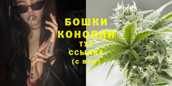 экстази Арсеньев