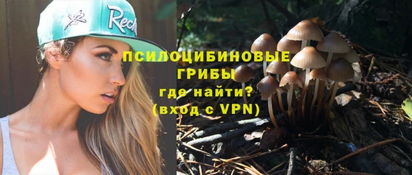 экстази Арсеньев