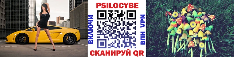 Псилоцибиновые грибы Cubensis  Губкин 