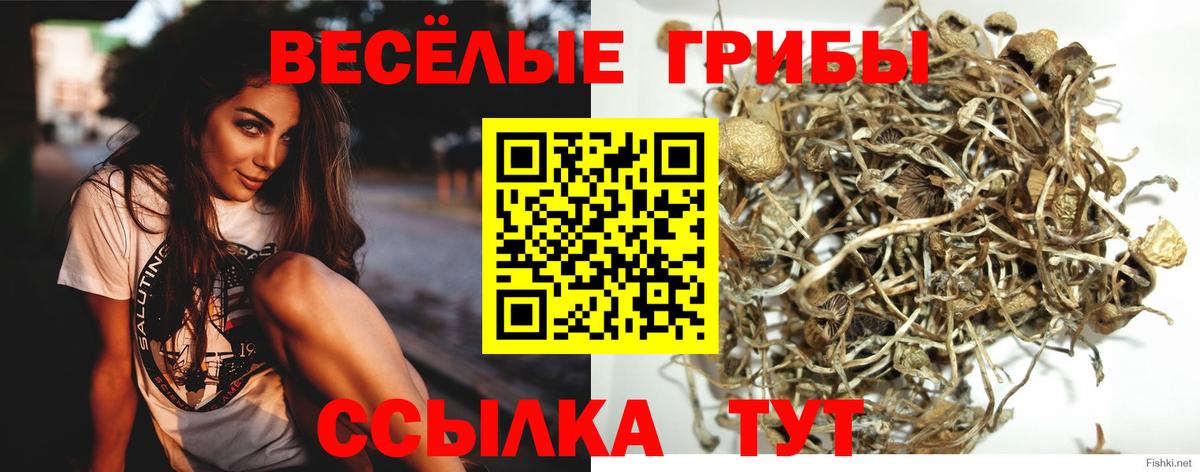 Галлюциногенные грибы ЛСД  Вход с VPN  даркнет сайт  Губкин  Псилоцибиновые грибы мицелий 